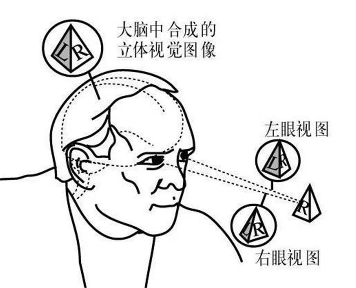3d裸眼技术.jpg 3d裸眼技术.jpg