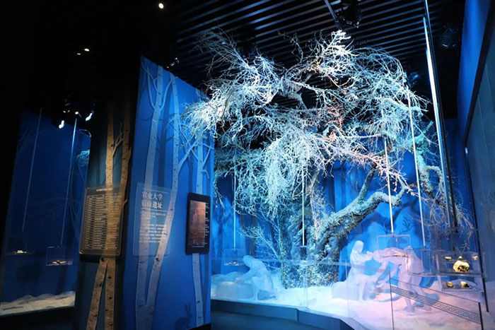 探秘沈阳博物馆:穿越历史,遇见盛京风华(图5) 1 (5).jpg