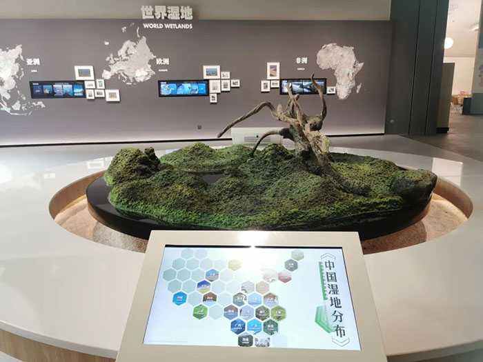 探秘中国湿地博物馆:开启自然与知识的奇妙之旅(图2) 1 (2).jpg