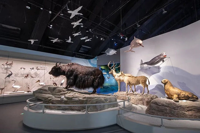 探秘中国湿地博物馆:开启自然与知识的奇妙之旅(图4) 1 (4).jpg