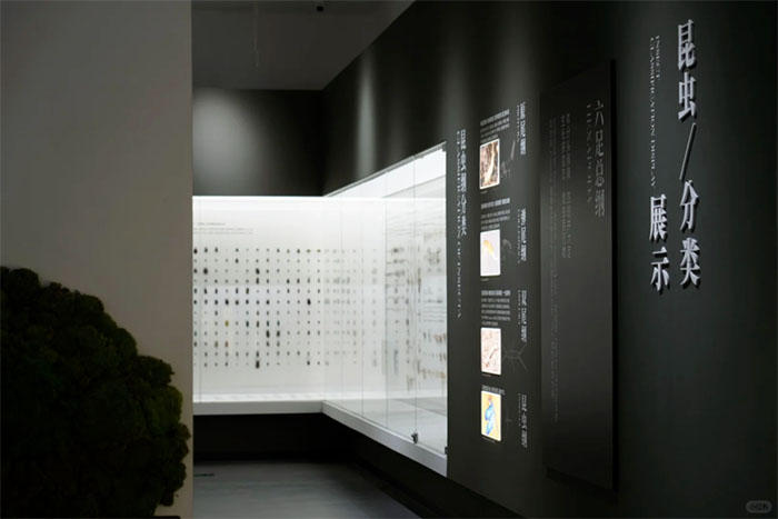 探秘中国农业大学昆虫馆:解锁昆虫世界的奇妙密码(图1) 1 (1).jpg