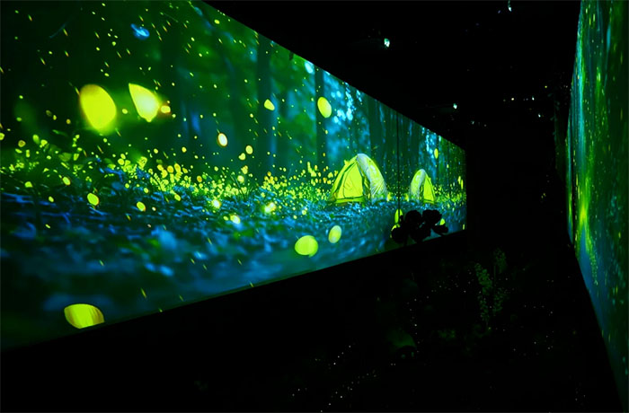 探秘中国农业大学昆虫馆:解锁昆虫世界的奇妙密码(图5) 1 (5).jpg