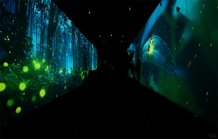 探秘中国农业大学昆虫馆:解锁昆虫世界的奇妙密码(图6) 1 (6).jpg