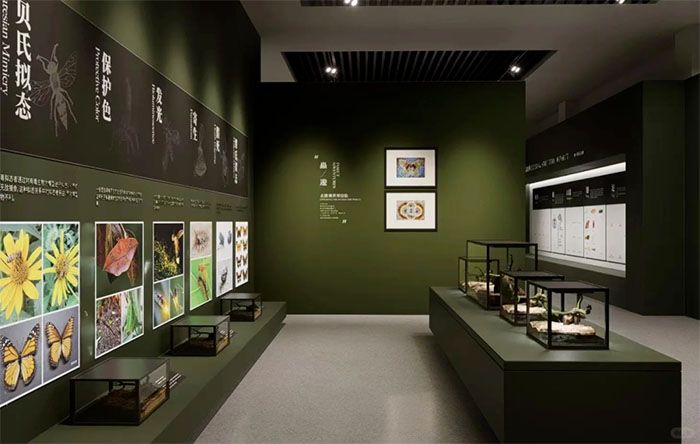 探秘中国农业大学昆虫馆:解锁昆虫世界的奇妙密码(图8) 1 (8).jpg