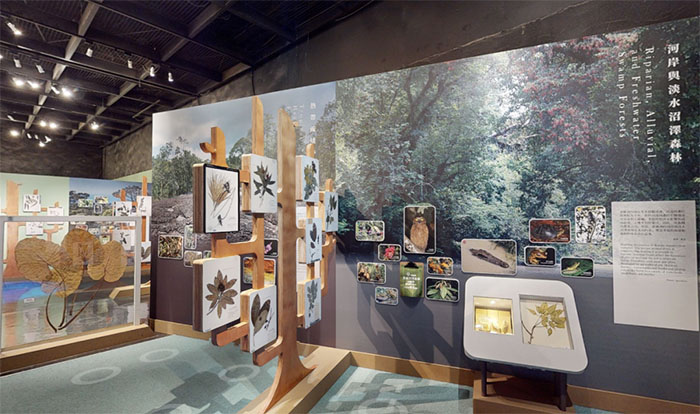 跨越2644公里,探秘婆罗洲的自然密码(图2) 1 (2).jpg