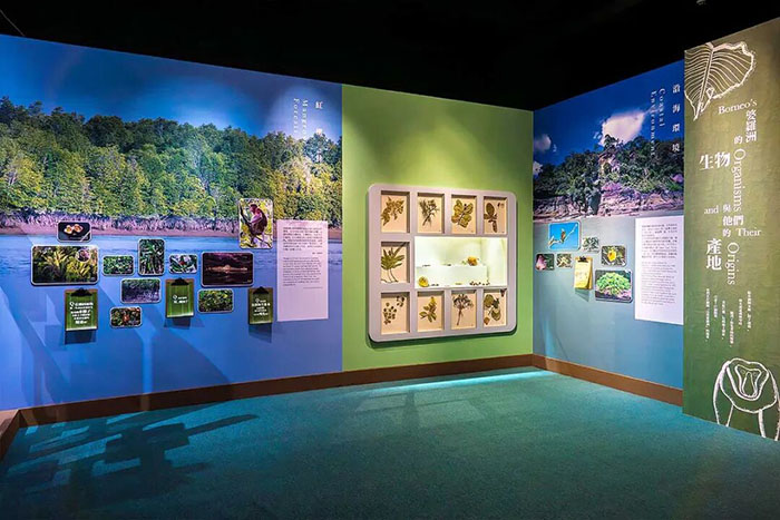 跨越2644公里,探秘婆罗洲的自然密码(图4) 1 (4).jpg