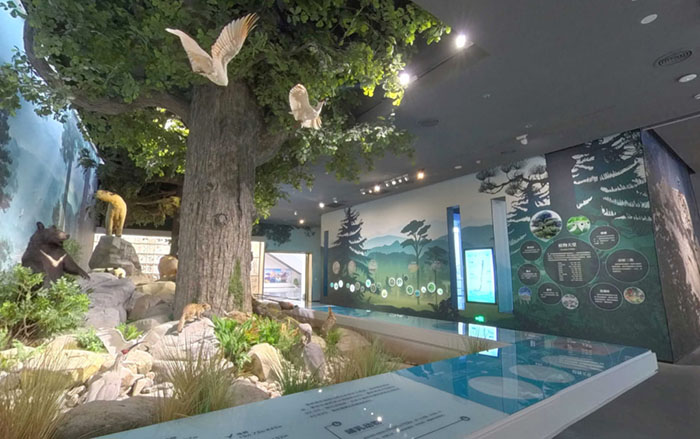 山水玉璋藏万象 秦岭文脉贯古今——探秘国内首座秦岭主题综合性博物馆(图6) 秦岭博物馆 (6).jpg