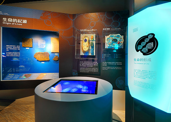 正佳自然科学博物馆 (4).jpg