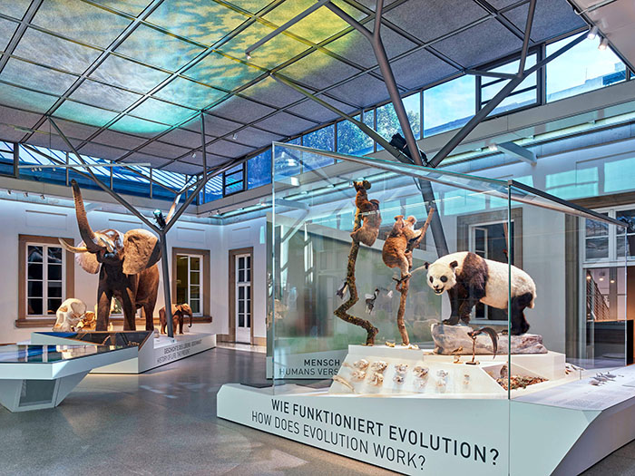 穿越亿万年生命史诗:德国斯图加特国立自然博物馆全览(图5) 德国自然博物馆 (5).jpg