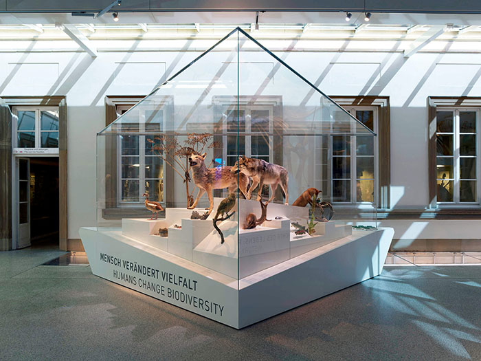 穿越亿万年生命史诗:德国斯图加特国立自然博物馆全览(图6) 德国自然博物馆 (6).jpg