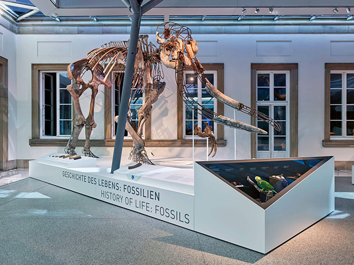 穿越亿万年生命史诗:德国斯图加特国立自然博物馆全览(图7) 德国自然博物馆 (7).jpg