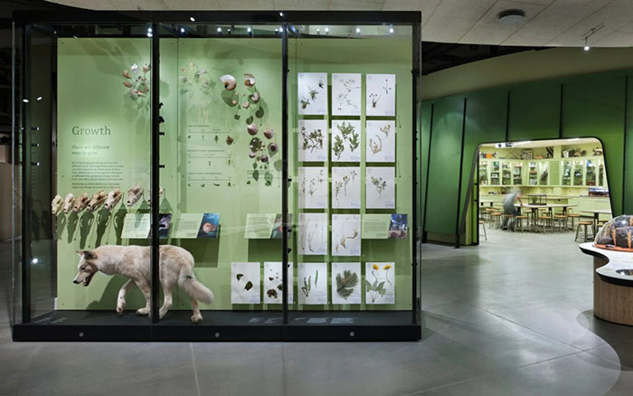 亿年山河,万古生灵 —— 美国犹他州自然历史博物馆全览(图1) 犹他州自然历史博物馆 (1).jpg