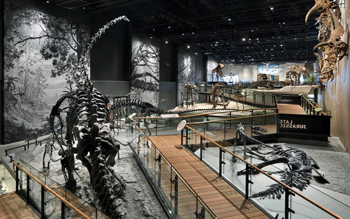亿年山河,万古生灵 —— 美国犹他州自然历史博物馆全览(图7) 犹他州自然历史博物馆 (7).jpg