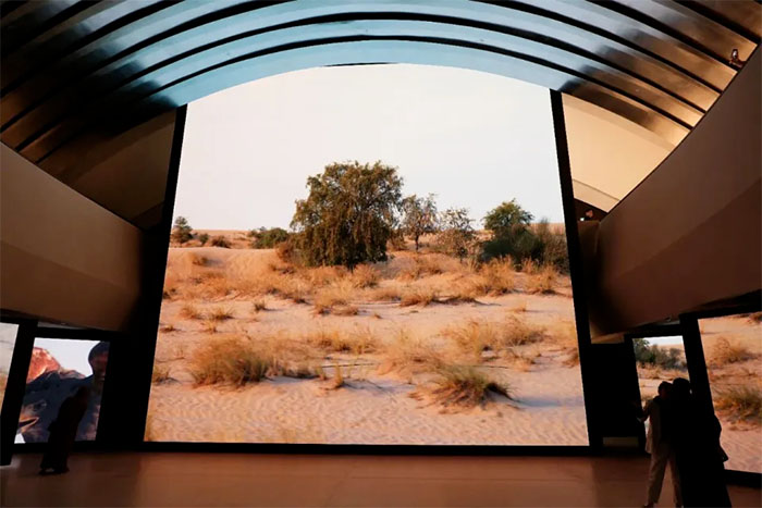 阿布扎比扎耶德国家博物馆 (9).jpg