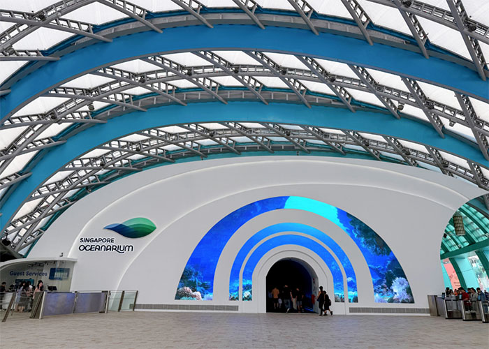 新加坡s.e.a.海洋馆 (1).jpg