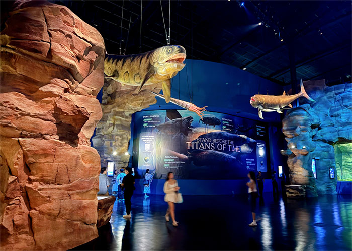 新加坡s.e.a.海洋馆 (2).jpg