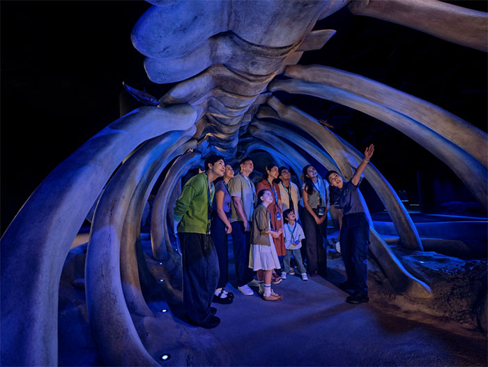 新加坡s.e.a.海洋馆 (5).jpg