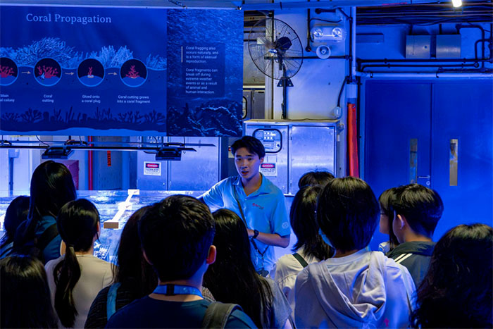 新加坡s.e.a.海洋馆 (6).jpg