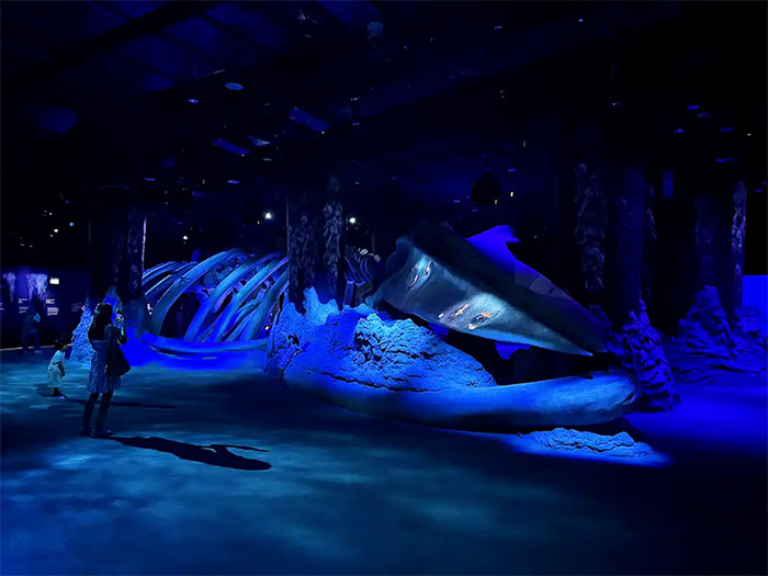 新加坡s.e.a.海洋馆 (7).jpg