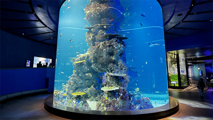 新加坡s.e.a.海洋馆 (9).jpg