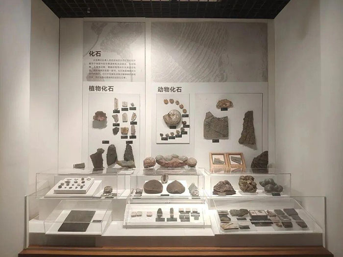 华南农业博物馆 (4).jpg