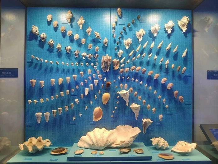 华南农业博物馆 (9).jpg